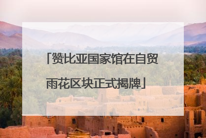 赞比亚国家馆在自贸雨花区块正式揭牌