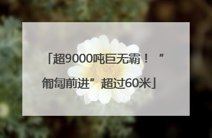 超9000吨巨无霸！“匍匐前进”超过60米