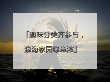 趣味分类齐参与，瀛海家园绿意浓