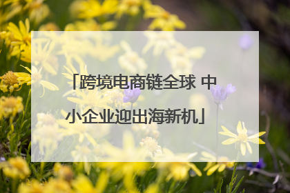 跨境电商链全球 中小企业迎出海新机