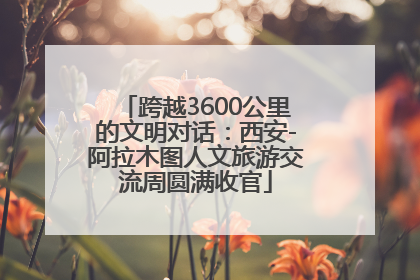 跨越3600公里的文明对话：西安-阿拉木图人文旅游交流周圆满收官