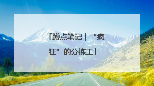 蹲点笔记｜“疯狂”的分拣工