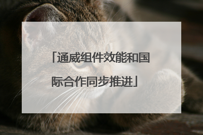 通威组件效能和国际合作同步推进