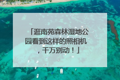 逛南苑森林湿地公园看到这样的照相机，千万别动！