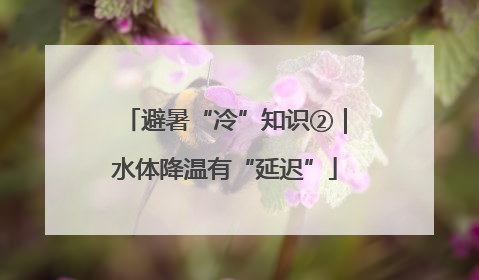避暑“冷”知识②｜水体降温有“延迟”