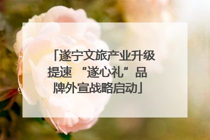 遂宁文旅产业升级提速 “遂心礼”品牌外宣战略启动