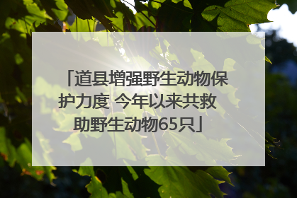 道县增强野生动物保护力度 今年以来共救助野生动物65只