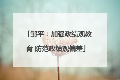 邹平：加强政绩观教育 防范政绩观偏差