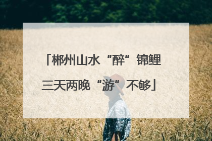 郴州山水“醉”锦鲤 三天两晚“游”不够