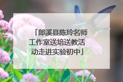 郎溪县陈玲名师工作室送培送教活动走进实验初中