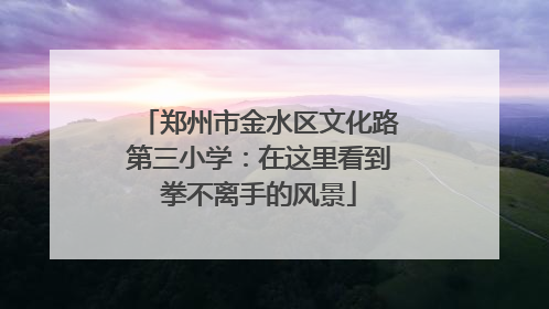 郑州市金水区文化路第三小学：在这里看到拳不离手的风景