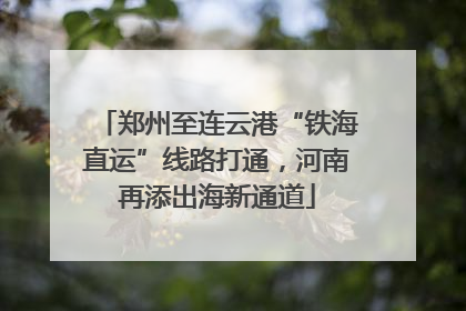 郑州至连云港“铁海直运”线路打通，河南再添出海新通道