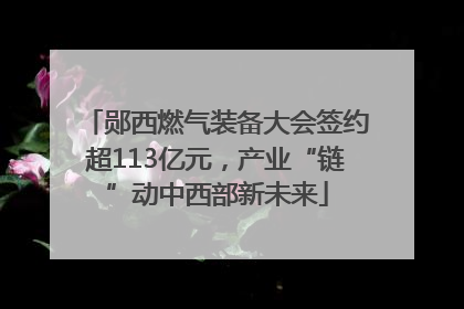 郧西燃气装备大会签约超113亿元，产业“链”动中西部新未来