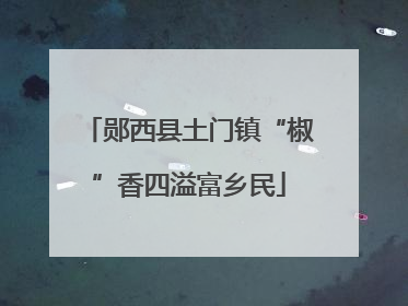 郧西县土门镇“椒”香四溢富乡民