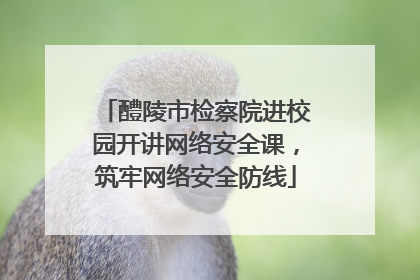 醴陵市检察院进校园开讲网络安全课，筑牢网络安全防线