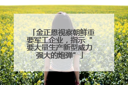 金正恩视察朝鲜重要军工企业，指示“要大量生产新型威力强大的炮弹”