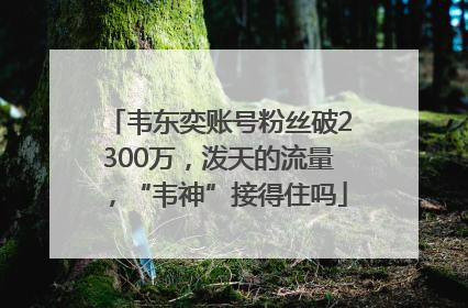 韦东奕账号粉丝破2300万，泼天的流量，“韦神”接得住吗