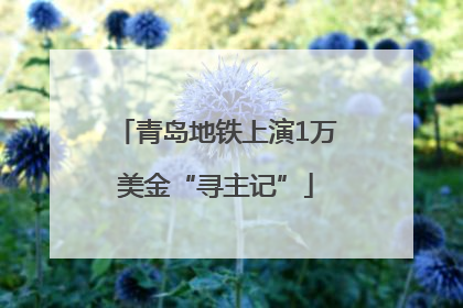 青岛地铁上演1万美金“寻主记”