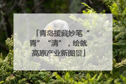 青岛援藏妙笔“青”“清”，绘就高原产业新图景