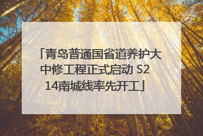 青岛普通国省道养护大中修工程正式启动 S214南城线率先开工