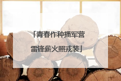青春作种播军营 雷锋薪火照戎装