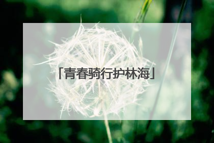 青春骑行护林海