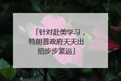 针对赴美学习，特朗普政府天天出招步步紧逼