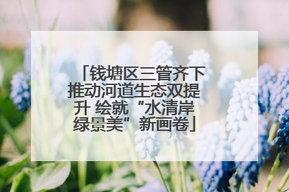 钱塘区三管齐下推动河道生态双提升 绘就“水清岸绿景美”新画卷