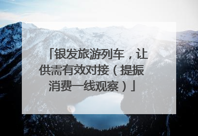 银发旅游列车，让供需有效对接（提振消费一线观察）