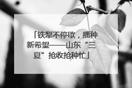铁犁不停歇，播种新希望——山东“三夏”抢收抢种忙