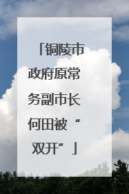 铜陵市政府原常务副市长何田被“双开”