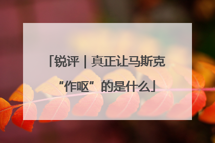 锐评｜真正让马斯克“作呕”的是什么