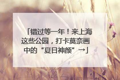 错过等一年！来上海这些公园，打卡莫奈画中的“夏日神颜”→