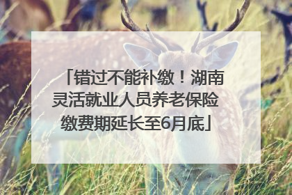 错过不能补缴！湖南灵活就业人员养老保险缴费期延长至6月底