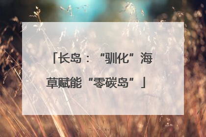 长岛：“驯化”海草赋能“零碳岛”