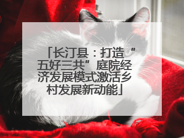 长汀县：打造“五好三共”庭院经济发展模式激活乡村发展新动能