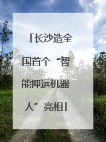 长沙造全国首个“智能押运机器人”亮相