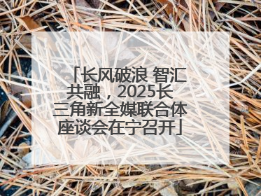 长风破浪 智汇共融，2025长三角新全媒联合体座谈会在宁召开