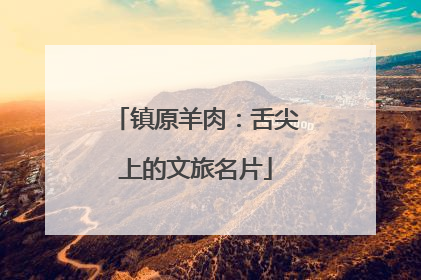 镇原羊肉：舌尖上的文旅名片