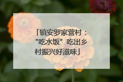 镇安罗家营村：“吃水饭”吃出乡村振兴好滋味