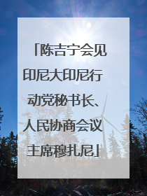 陈吉宁会见印尼大印尼行动党秘书长、人民协商会议主席穆扎尼