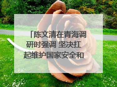 陈文清在青海调研时强调 坚决扛起维护国家安全和社会稳定职责使命 为谱写中国式现代化青海篇章贡献政法力量