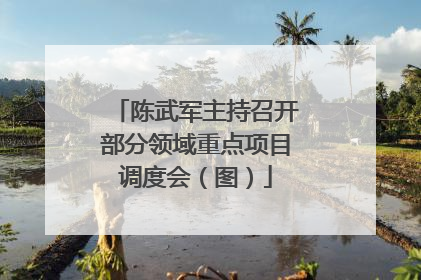 陈武军主持召开部分领域重点项目调度会（图）