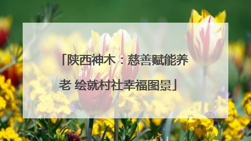 陕西神木：慈善赋能养老 绘就村社幸福图景