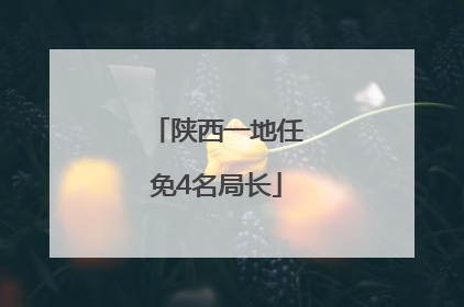 陕西一地任免4名局长