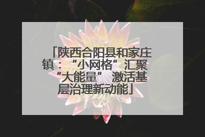 陕西合阳县和家庄镇：“小网格”汇聚“大能量” 激活基层治理新动能