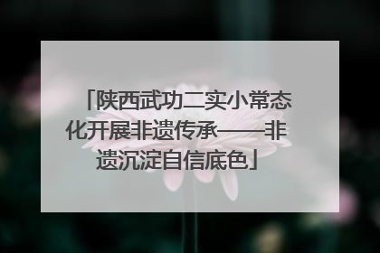 陕西武功二实小常态化开展非遗传承——非遗沉淀自信底色