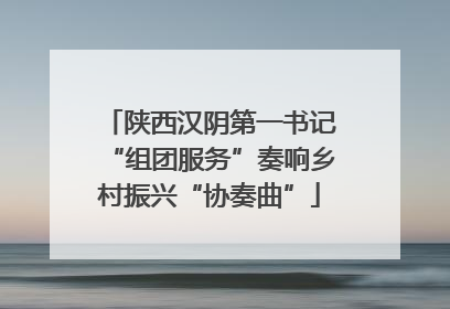 陕西汉阴第一书记“组团服务”奏响乡村振兴“协奏曲”