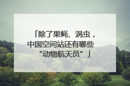 除了果蝇、涡虫，中国空间站还有哪些“动物航天员”