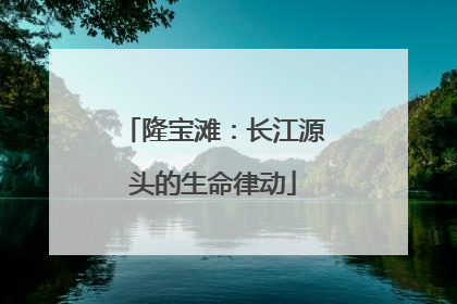 隆宝滩：长江源头的生命律动
